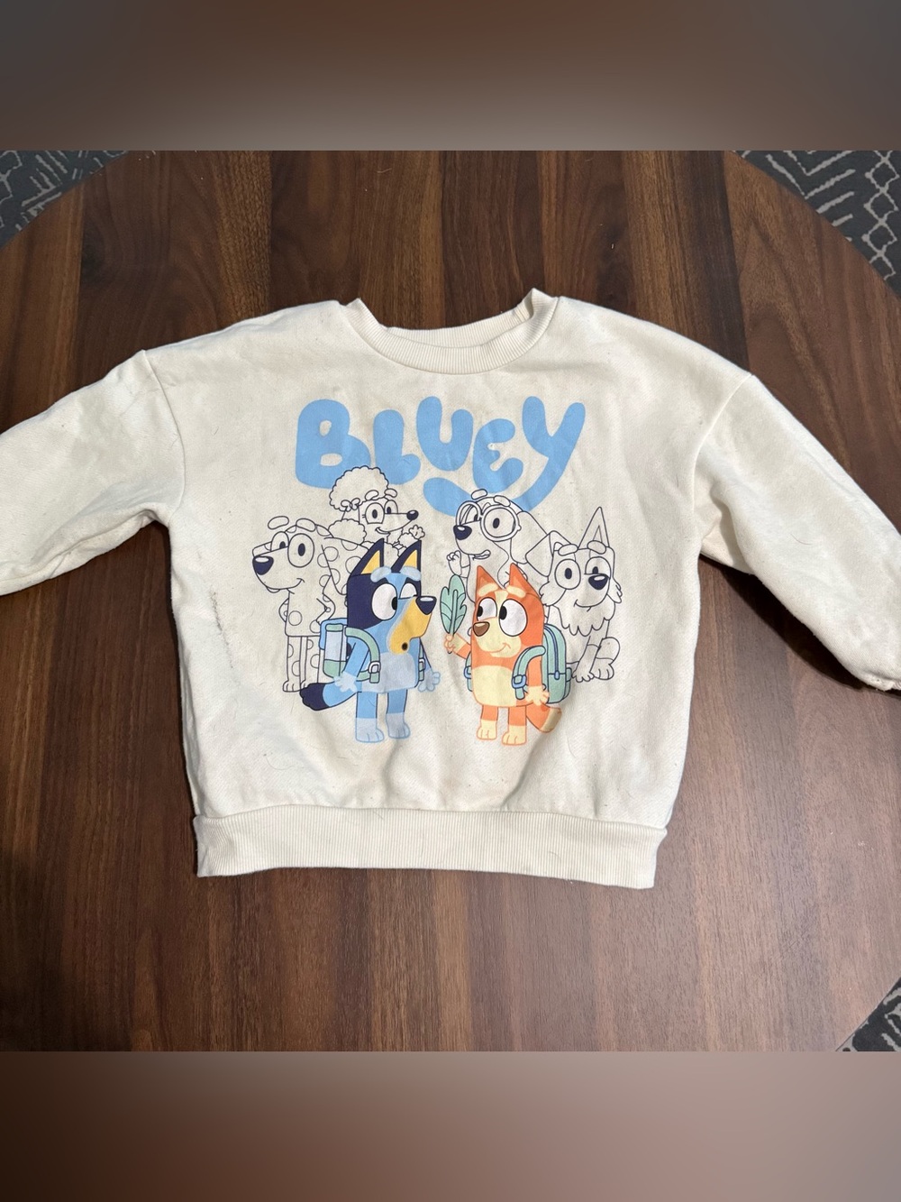Boys bluey sweatshirt